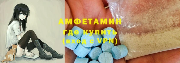ECSTASY Алзамай