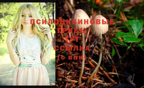 spice Новозыбков