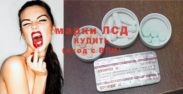 ECSTASY Алзамай