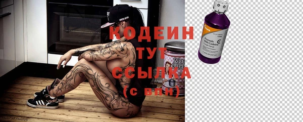 ECSTASY Алзамай