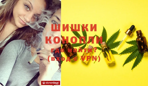 хмурый Новочеркасск