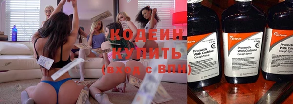 ECSTASY Алзамай